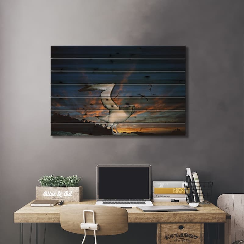 Salvin's Albatross Returning To Crowded Nesting Colony At Sunset, Proclamation Island, New Zealand Print On Wood by Tui De Roy