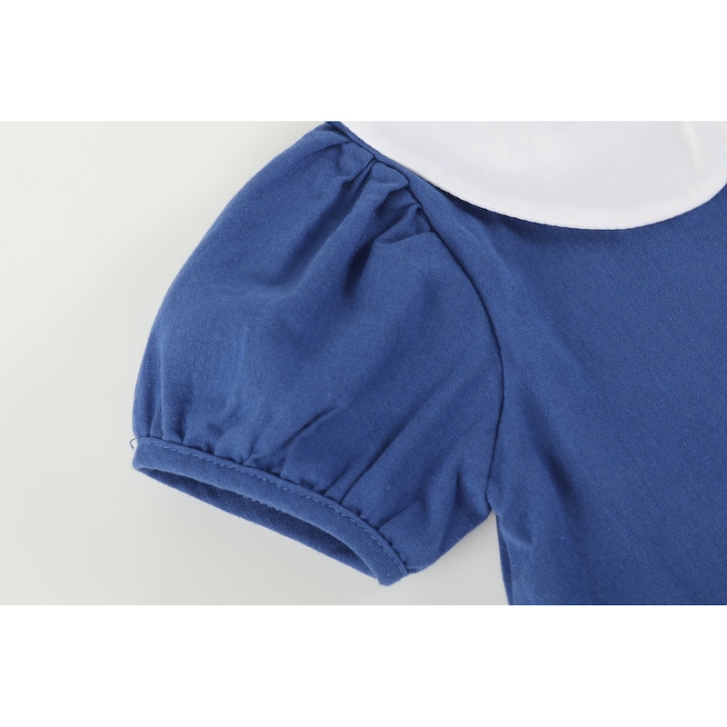 Lil Cactus Blue Pumpkin Sunflower Collared Dress