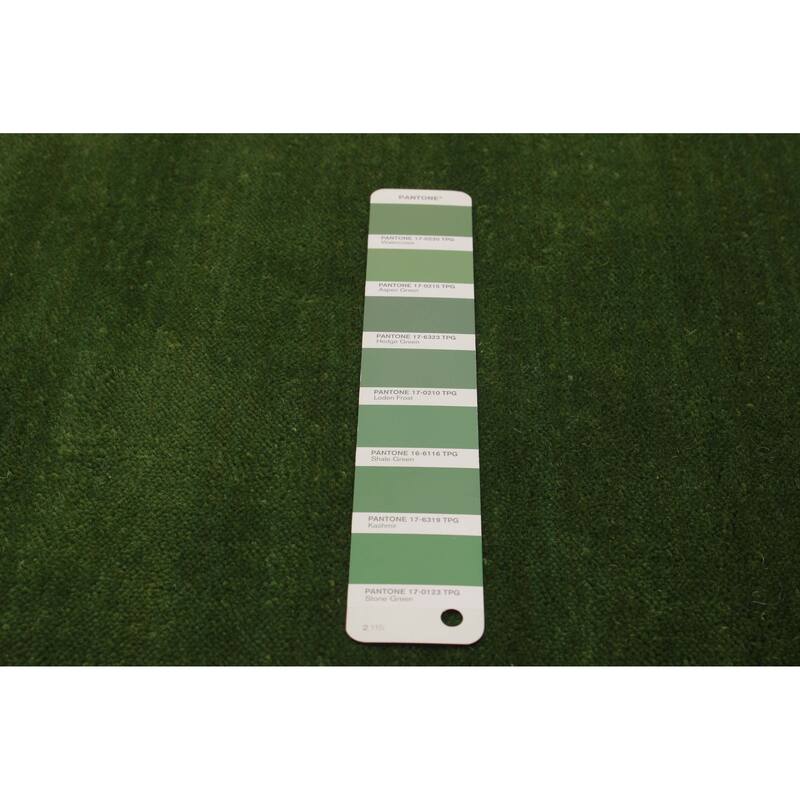 Kashkuli Gabbeh Green Rug 1'11" x 5'10" - 1'11 x 5'10