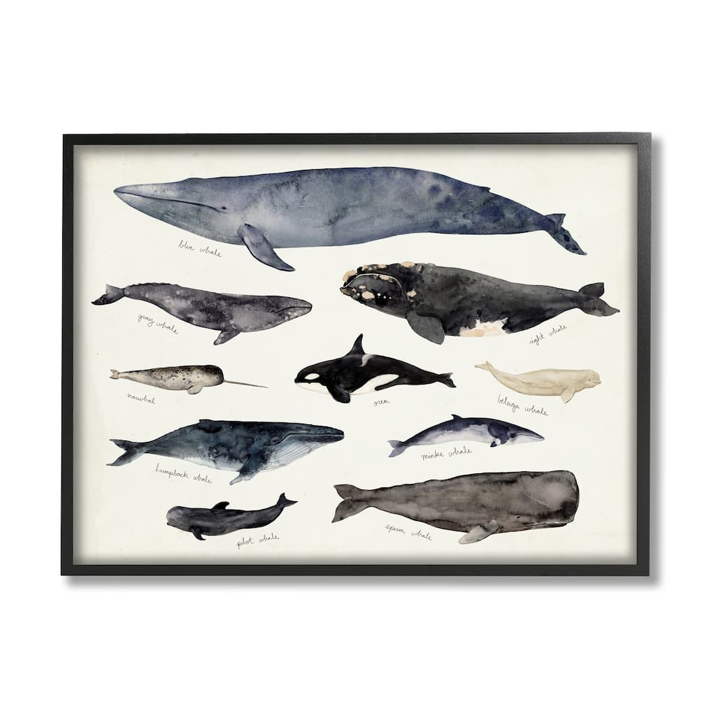 Stupell Vintage Nautical Chart of Whales Ocean LifeFramed Giclee Texturized Art by Victoria Barnes
