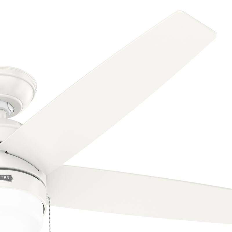 Hunter Bardot Ceiling Fan with LED Light Kit and Pull Chain, Modern, Contemporary, Transitional