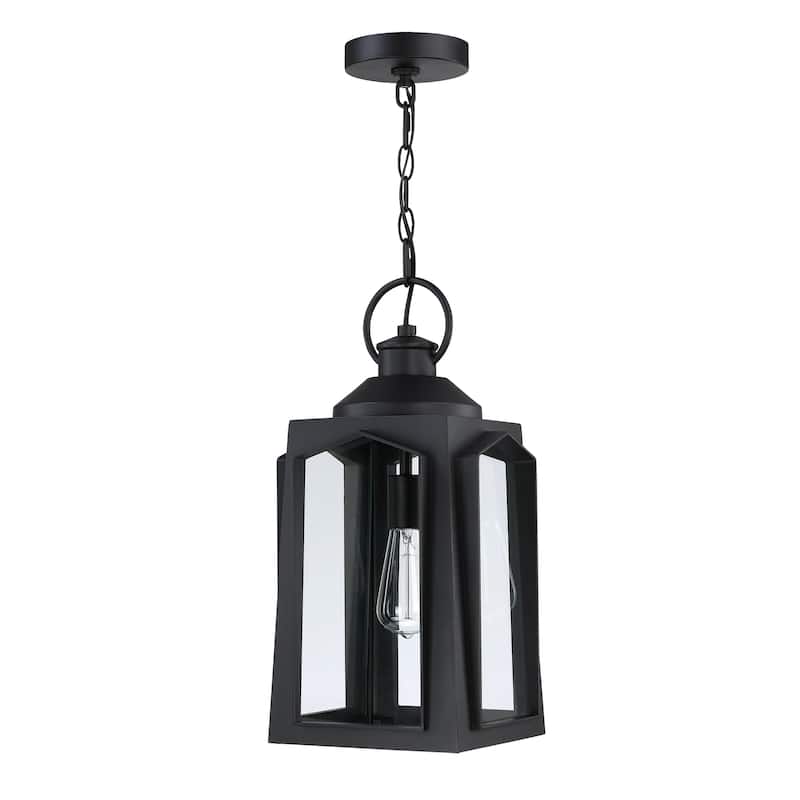 1-Light Matte Black Outdoor Pendant Light with Clear Glass Shade
