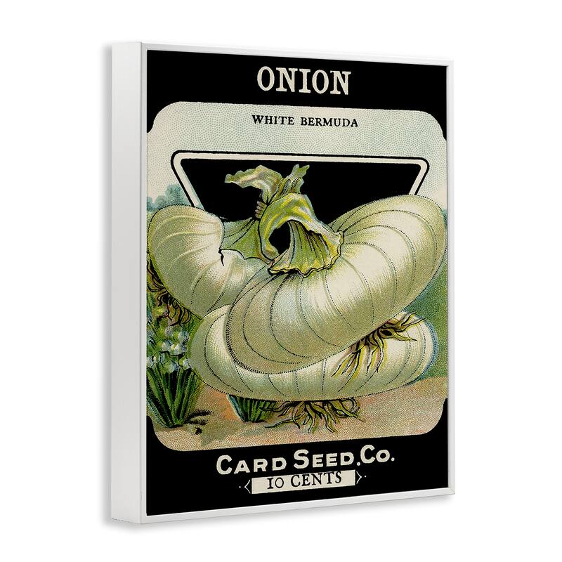 Stupell Vintage Garden Onion Framed Giclee Art Design By Lil' Rue