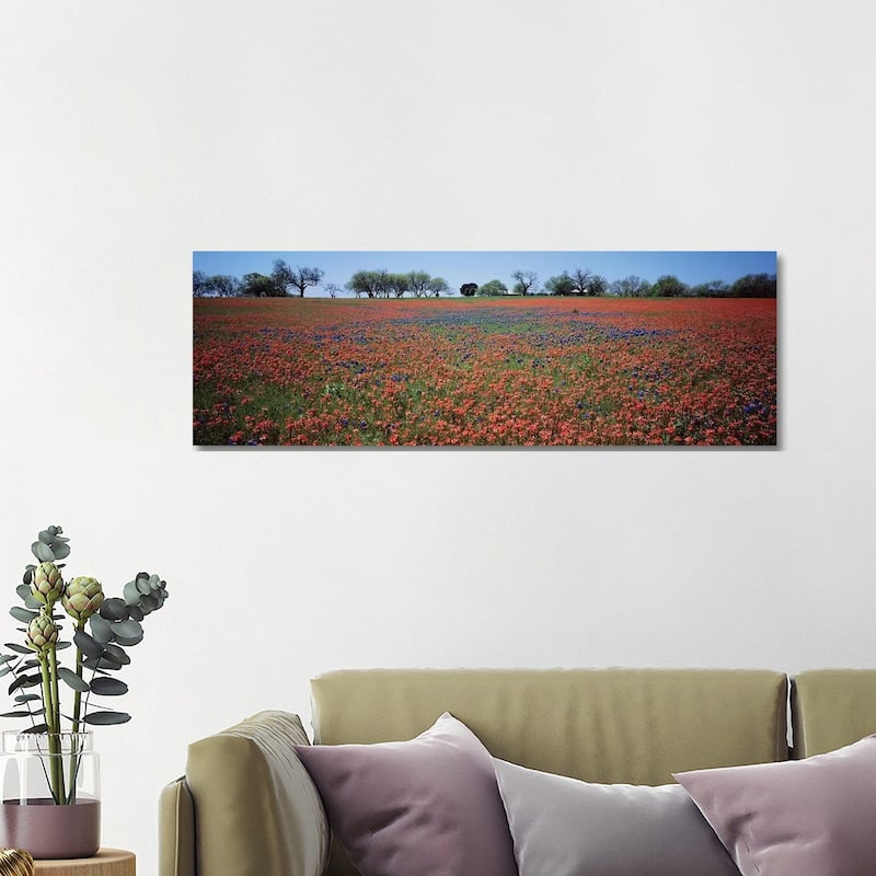 iCanvas "Indian Paintbrush & Bluebonnets, Texas" by Panoramic Images Canvas Print - 16x48x1.5
