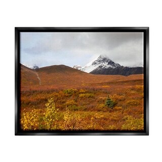 Stupell Meadow with Distant Peak Framed Floater Canvas Wall Art Design ...