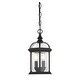 preview thumbnail 4 of 6, Kensington 3-Light Outdoor Hanging Lantern in Textured Black