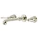 Option Polished Nickel