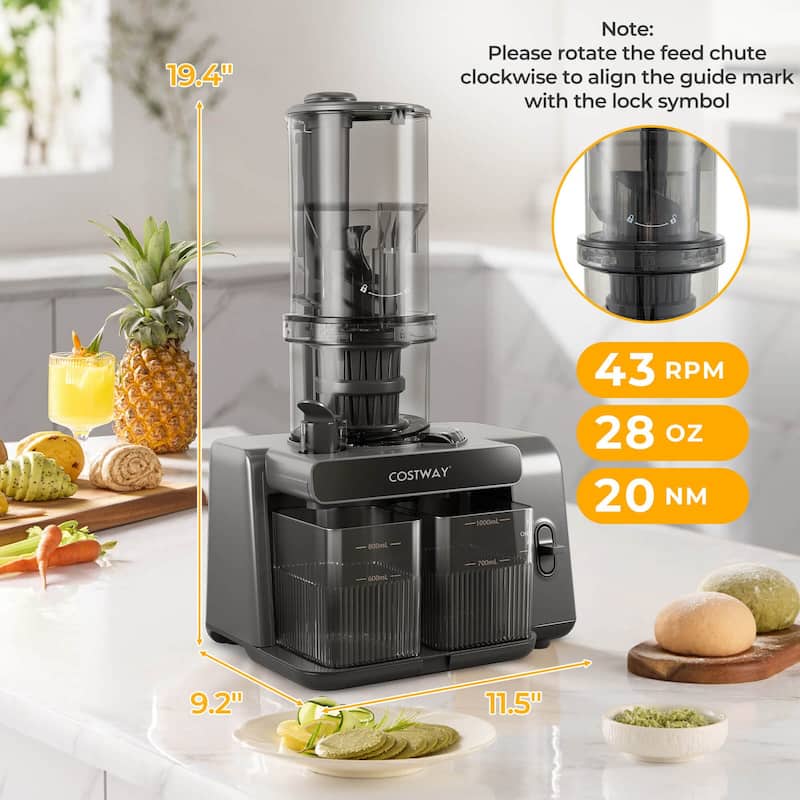 Slow Juice Extractor Machine Masticating Juicer Cold Press Juicer