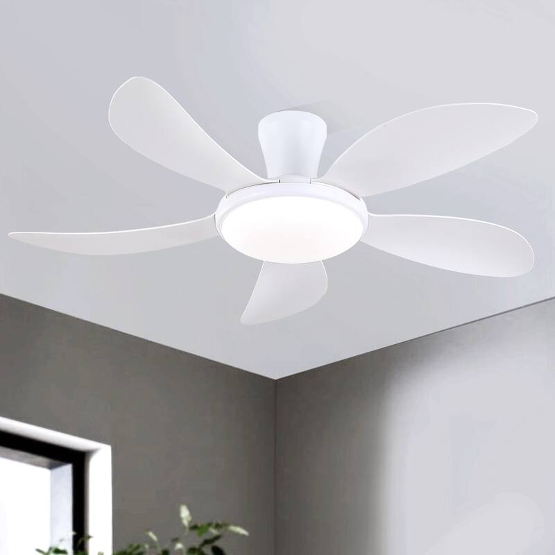 48 Inch Flush Mount DC Ceiling Fan with Lights, 5 Reversible Blades,3 CCT LED with Remote and APP Control - 48 Inches - White