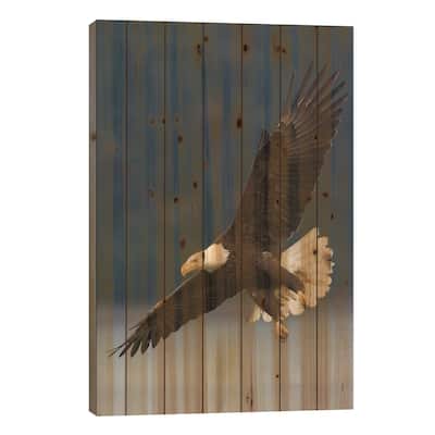 Bald Eagle II Print On Wood by Ken Archer - Multi-Color