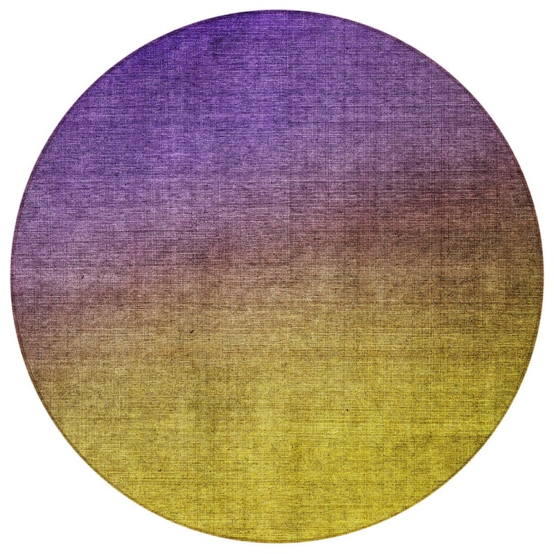 HomeRoots Ombre Transitional Rectangle Outdoor Rug