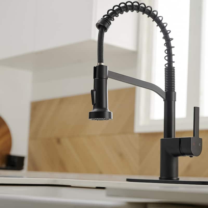 WIZ Pull-Down Sprayer 2 Spray High Arc Kitchen Faucet