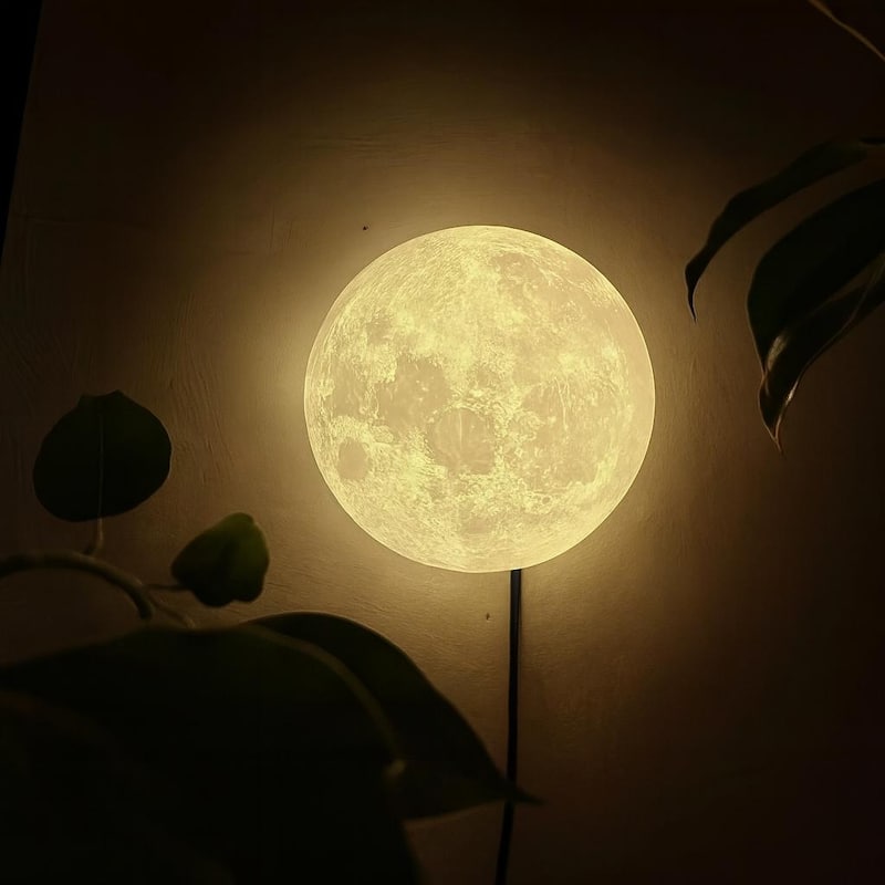 Semicircular Moon Wall Light - 11.8 in - 11.8 in