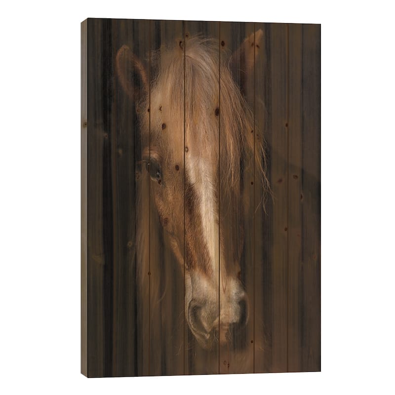 Sapience Print On Wood by Martine Benezech - Multi-Color - 26x18x1.5