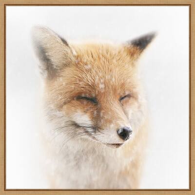 Satisfied (Fox) by Doris Reindl Framed Canvas Art