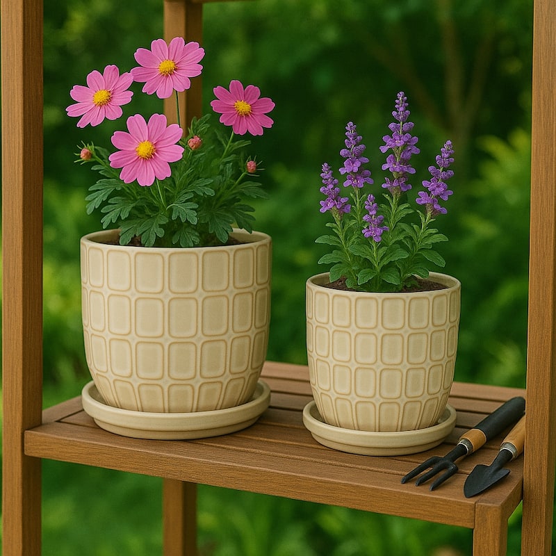 Decorative Ceramic Platner with Pattern - Set of 2, 8", 6", Ivory