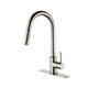 Option Brushed Nickel