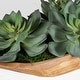 preview thumbnail 5 of 3, Uttermost Yuma Succulent Centerpiece - 27"W x 8"H x 11"D