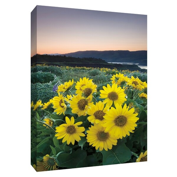 PTM Images 9-154693 PTM Canvas Collection 10" x 8" - "Balsamroot" Giclee Flowers Art Print on Canvas