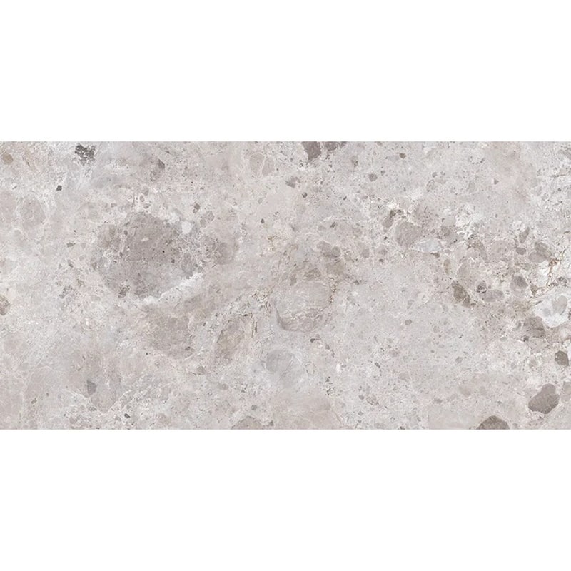 Splendor 24x48 Petra Gray Porcelain Large Format Veining Wall and Floor Tile (15.5 sq ft/case) - 2 Pack