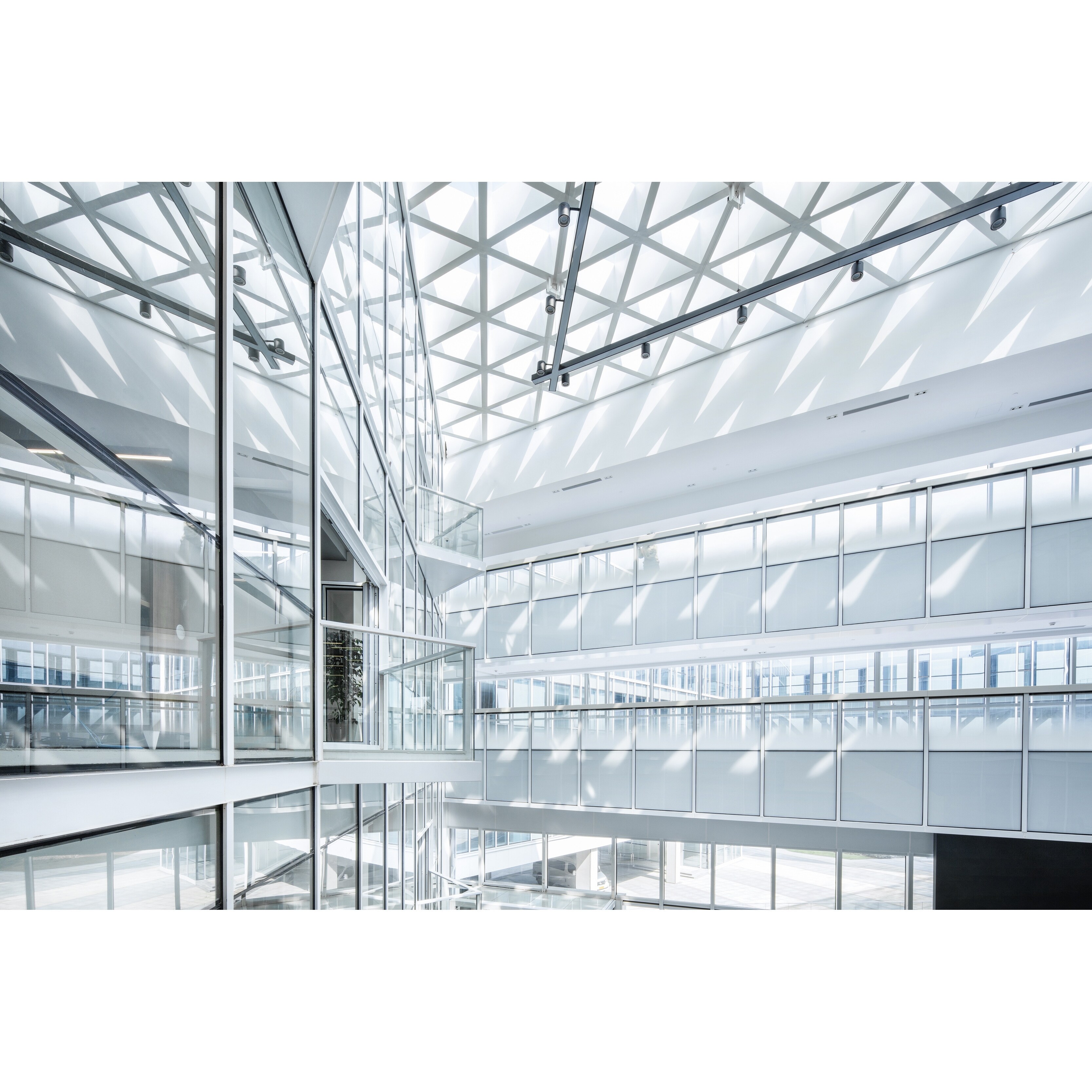 Shop Architecture Glass Modern Interior Photograph Art Print Wall