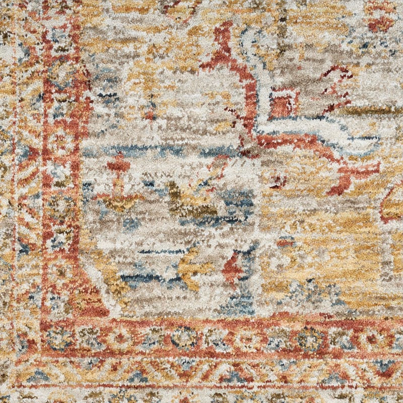 Nourison Petra Indoor only Persian Area Rug