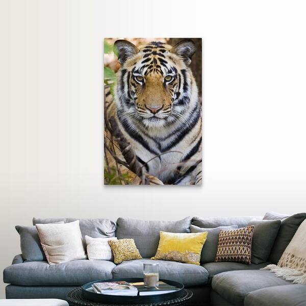 Shop Bengal Tiger Panthera Tigris Tigris In A Forest India