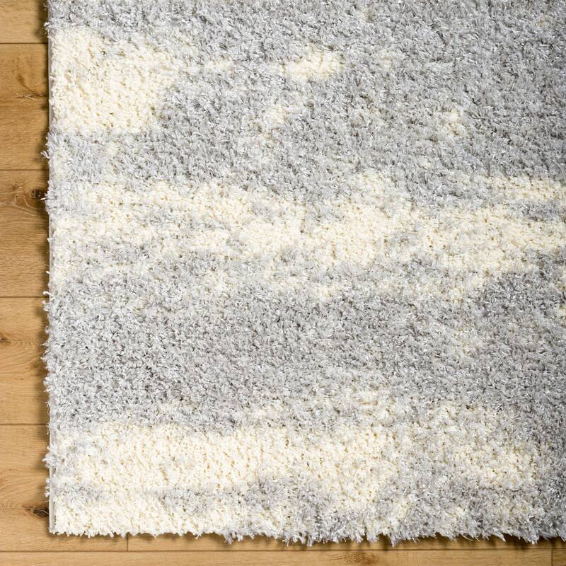 Auston Shag Area Rug