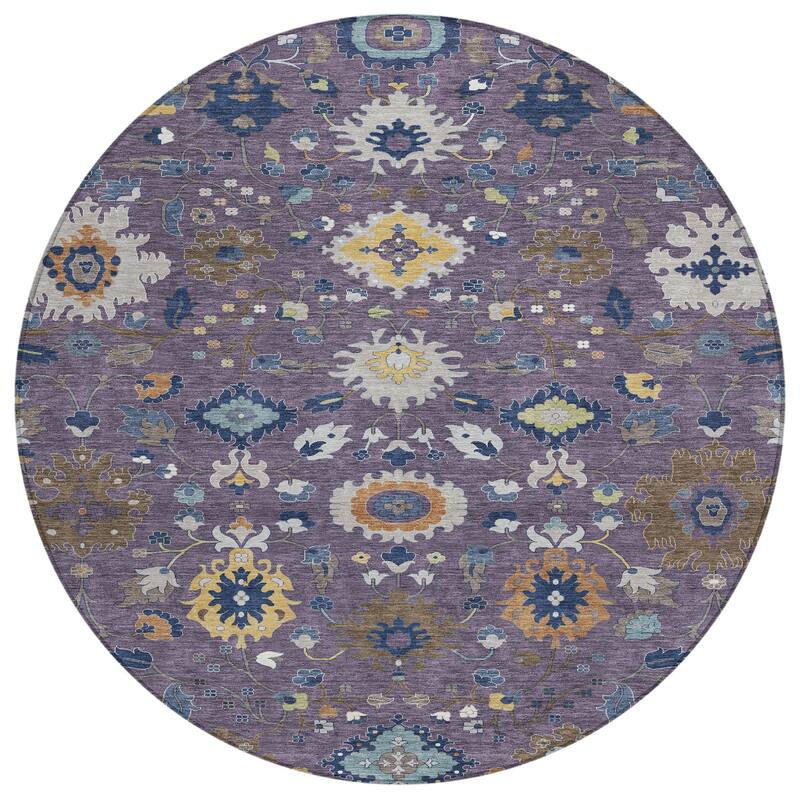 Machine Washable Indoor/ Outdoor Traditional Marci Chantille Rug