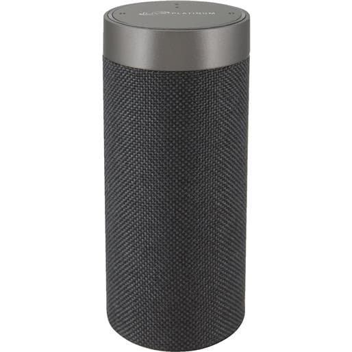 DPI Inc Alexa Wi Fi Bt Speaker ISWFV387G Unit EACH