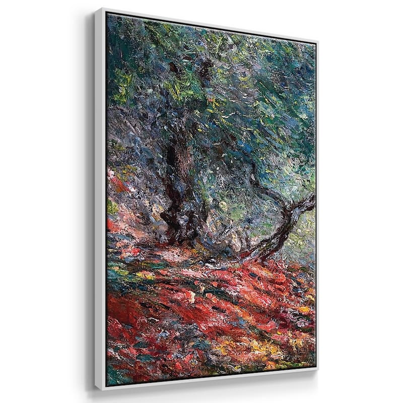 Olive Tree in the Moreno Garden, 1884 - Multi Piece Framed Canvas