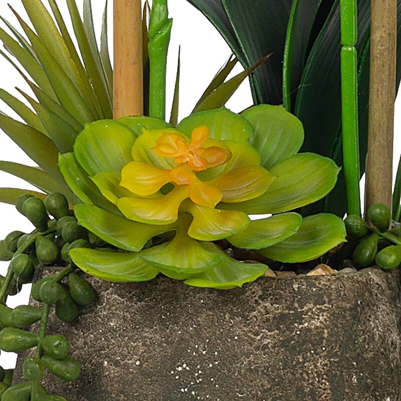2 Stems Real Touch Phalaenopsis Plastic Orchids with Succulents in Pot - 23.23" H x 20.08" W x 10.04" D