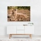 Photography Animals Cat Lion Symbols Wildlife Art Print/Poster - Bed ...