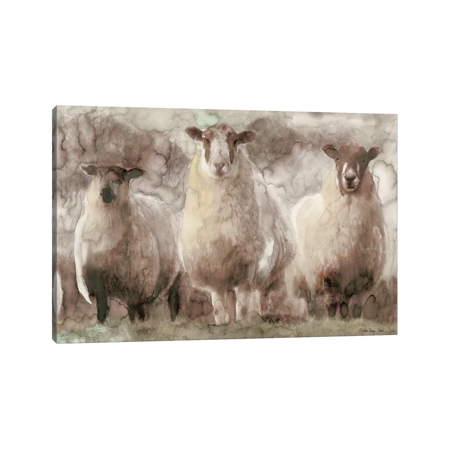 iCanvas "Three Sheep" by Stellar Design Studio Canvas Print