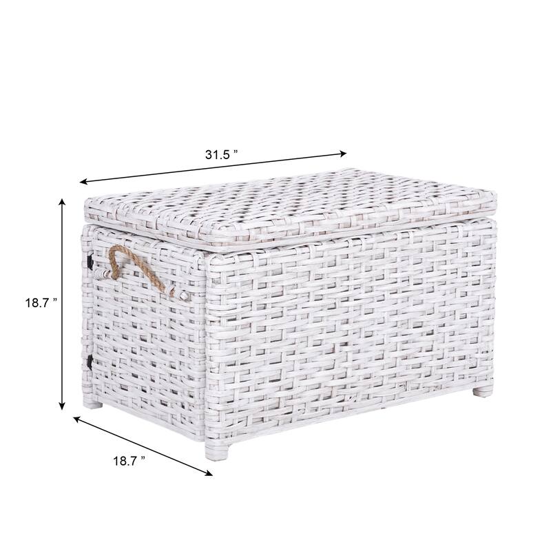 happimess Jacob 30" Wicker Storage Trunk