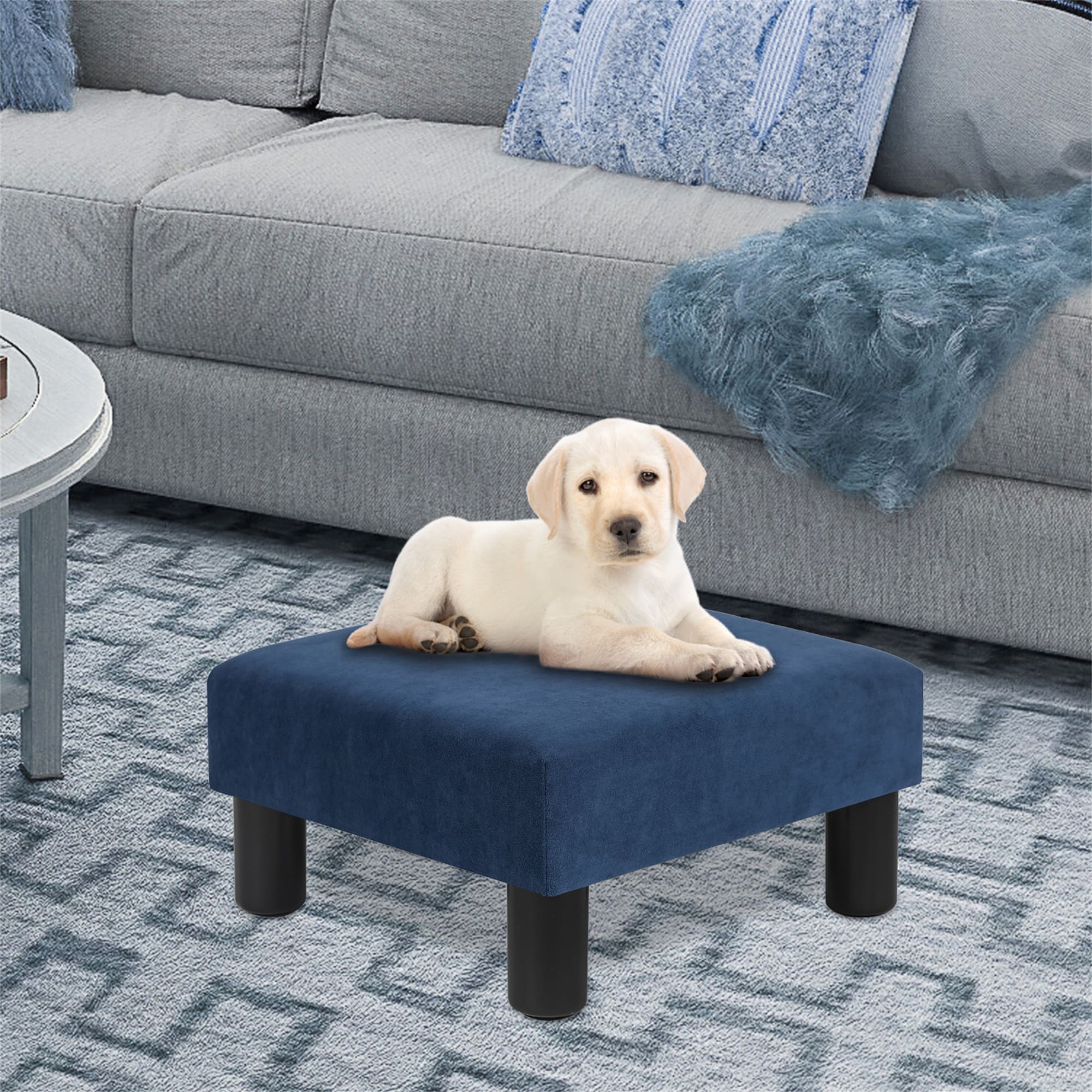 Pet ottoman new arrivals