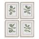 preview thumbnail 1 of 4, Uttermost Fiddle Head Leaf Botanical Prints Set/4