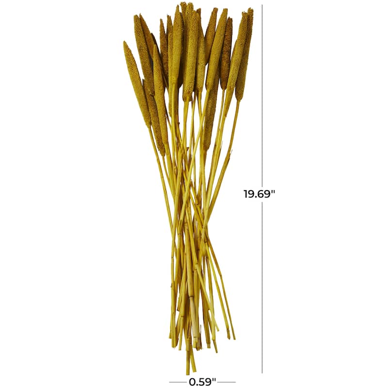 Dried Plant Bunny Tail Home Decor Natural Foliage - White, Red, Dark Brown, Orange, Green, Pink, Yellow - Roche River Decor
