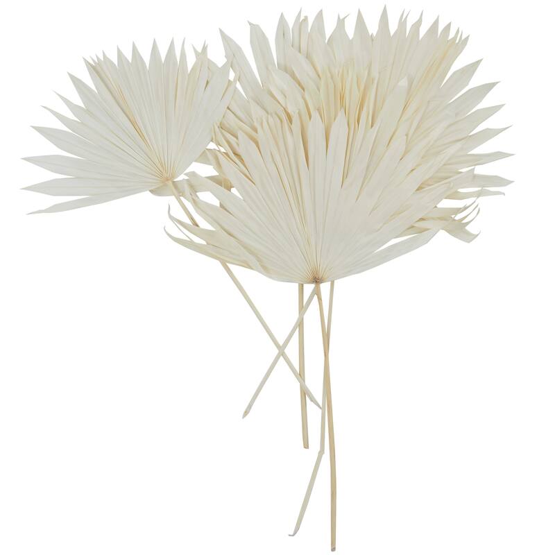 White or Dark Brown Dried Plant Handmade Large Sun Spear Palm Leaf Natural Foliage