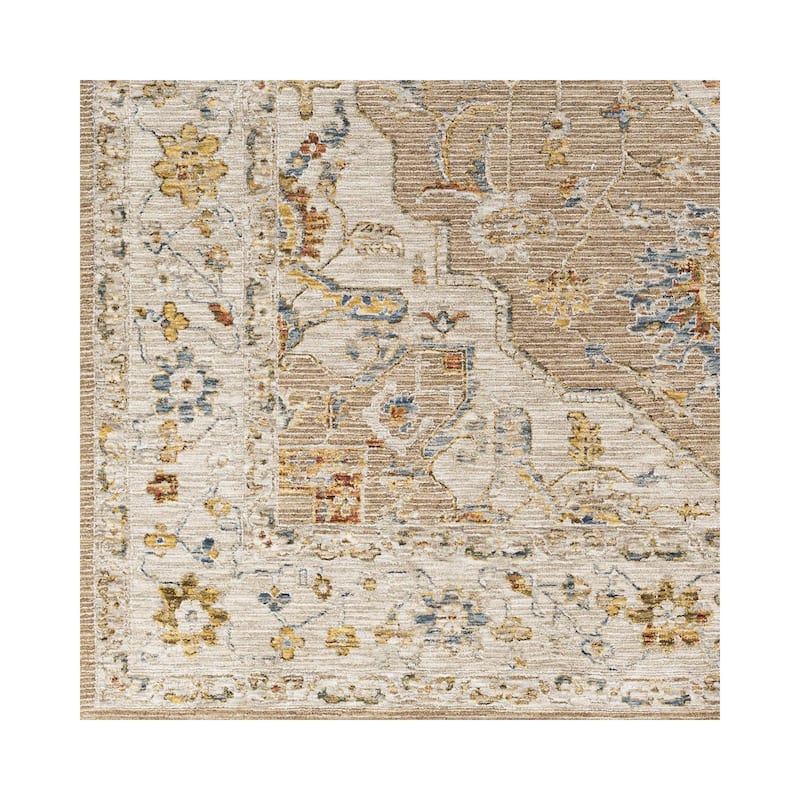 Tereza Updated Traditional Medallion Area Rug