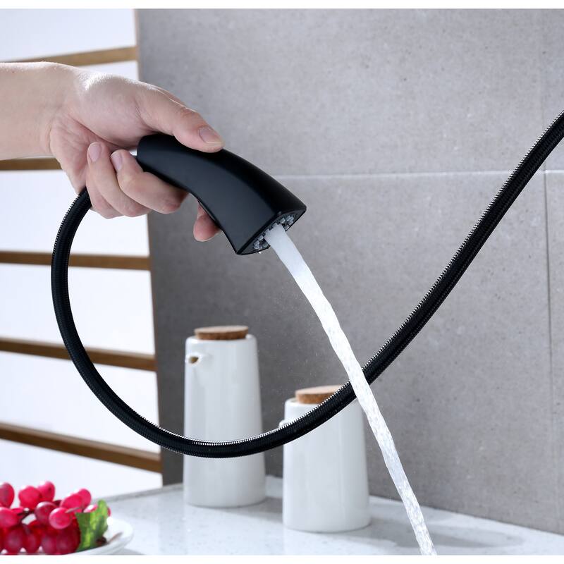 Ultra Faucets Quest Collection Single-Handle Kitchen Faucet With Pull-Down Spray