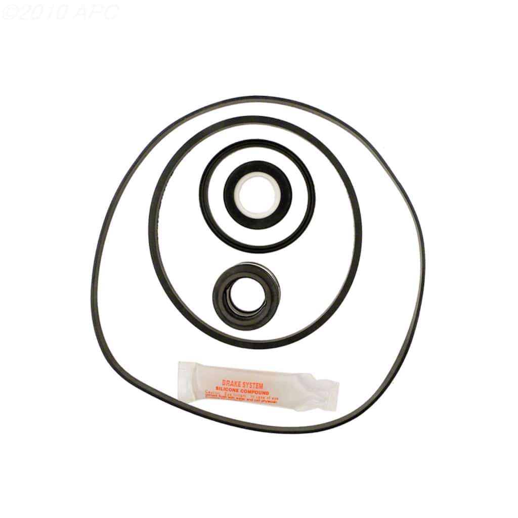 APC APCK1001 Repair Kit for Max-Flo SP1800X Pool Pump