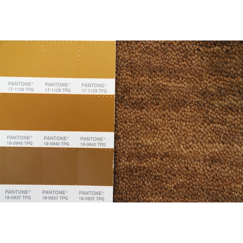 Hand Knotted Oriental 100% Wool Carpet Tribal Animal Pictorial Brown Gabbeh Area Rug - 8' 1'' X 4' 1''