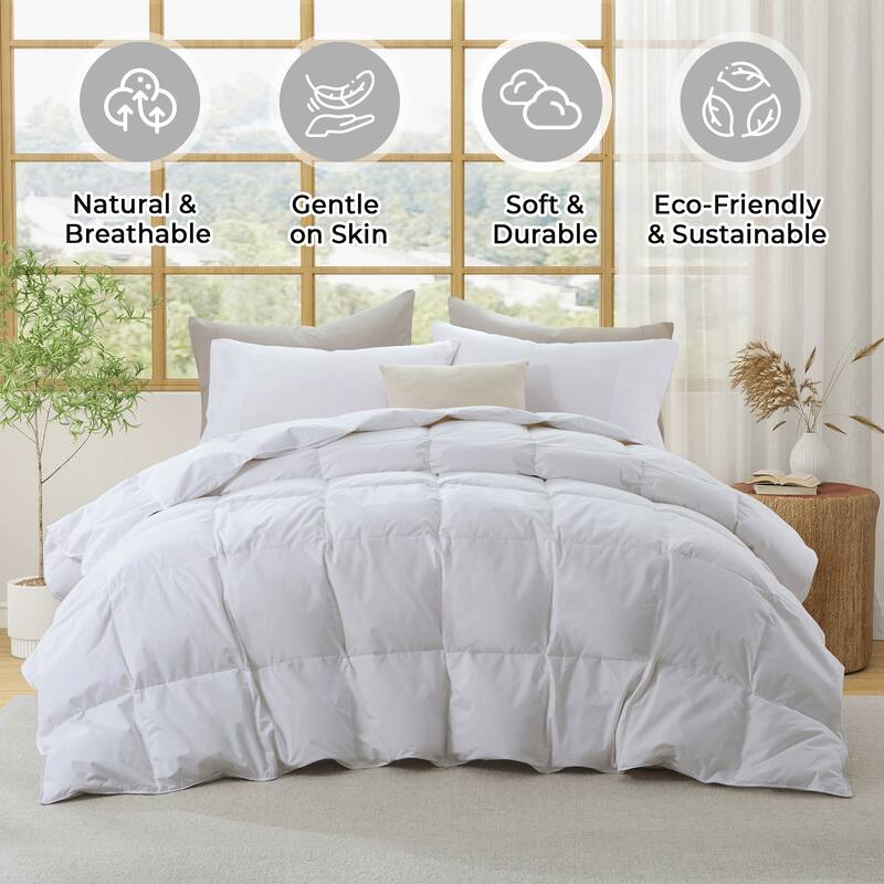 All Season 300TC Organic Cotton Down Comforter - 100% Natural, Chemical-Free, Medium Warmth Duvet Insert