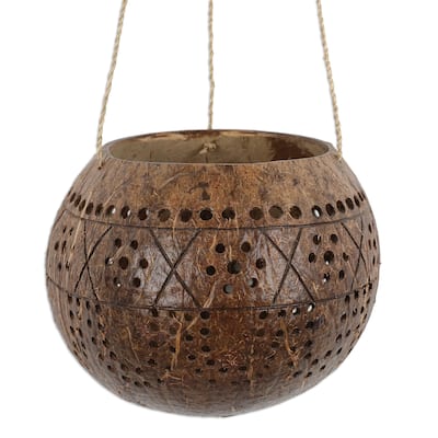 Novica Handmade Gardening Coconut Shell Hanging Planter