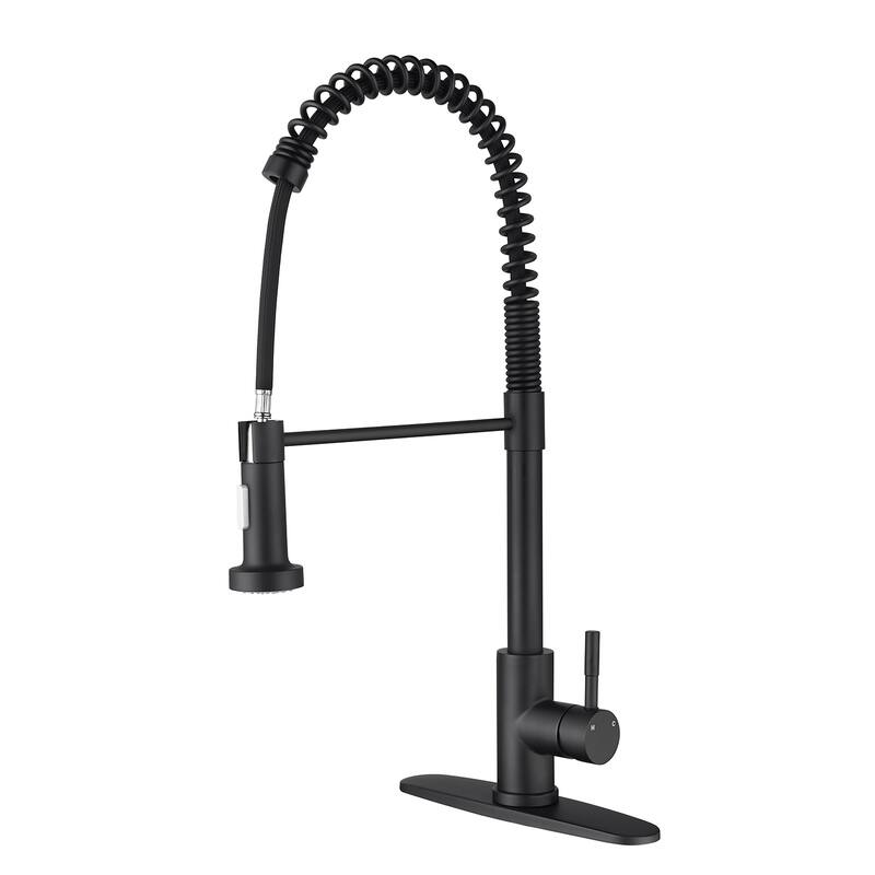 Kitchen Faucet with Pull Out Spraye - Matte Black