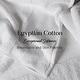 preview thumbnail 112 of 197, Superior Egyptian Cotton 6 Piece Towel Set Ultra Plush & Absorbent Bath, Hand & Face Towels, Heavyweight Spa Quality