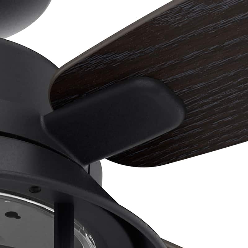 Hunter 52" Port Royale Outdoor Ceiling Fan with LED Light Kit and Handheld Remote, Damp Rated