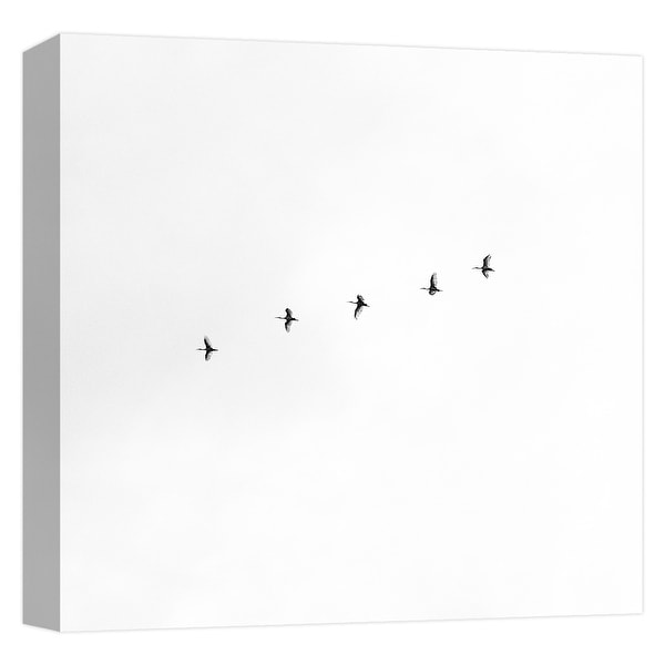 PTM Images 9-124710 PTM Canvas Collection 12" x 12" - "Birds Migration" Giclee Geese Art Print on Canvas
