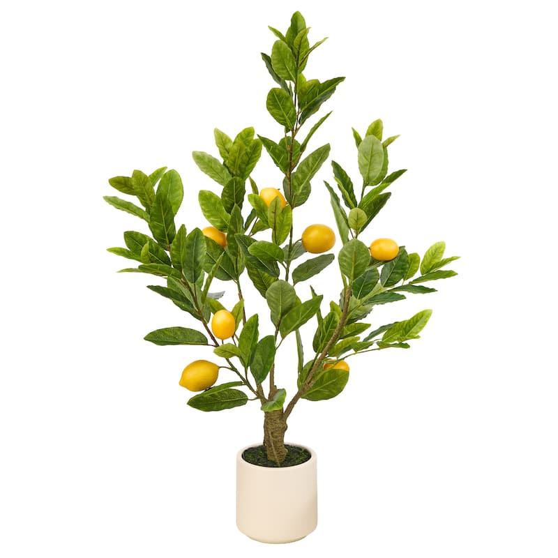 3' Potted Tuscan Lemon Tree